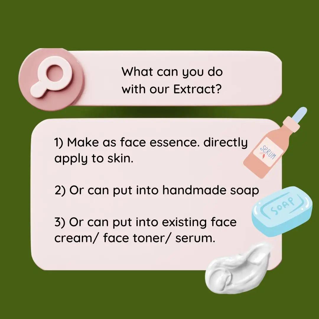 High Quality Soapberry Extract - Hair Care For Hair Loss ulasan dan harga