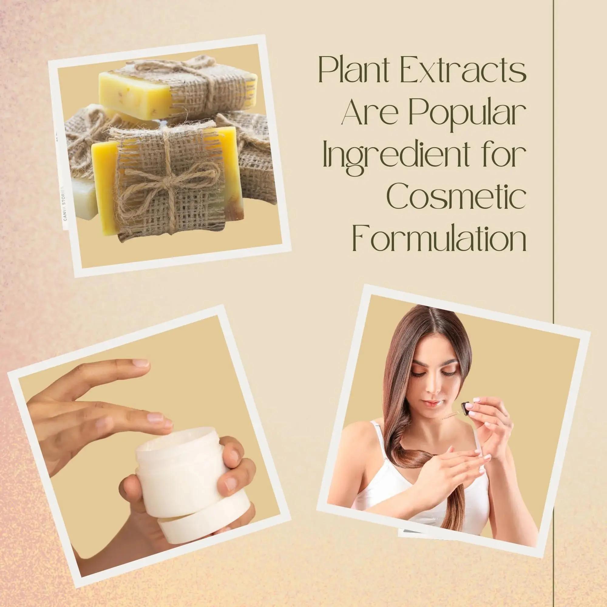 High Quality Soapberry Extract - Hair Care For Hair Loss ulasan dan harga